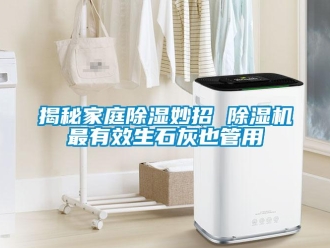 行業新聞揭秘家庭除濕妙招 除濕機最有效生石灰也管用