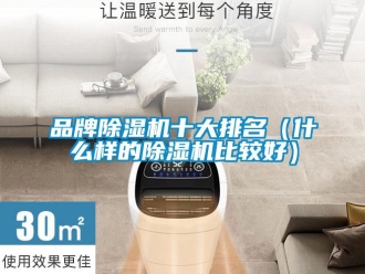 企業新聞品牌除濕機十大排名（什么樣的除濕機比較好）