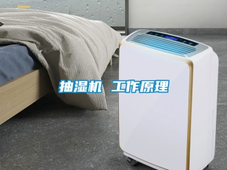 企業新聞抽濕機 工作原理
