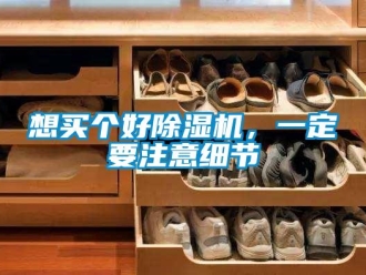 知識百科想買個好除濕機，一定要注意細節