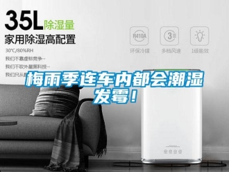 行業新聞梅雨季連車內都會潮濕發霉！