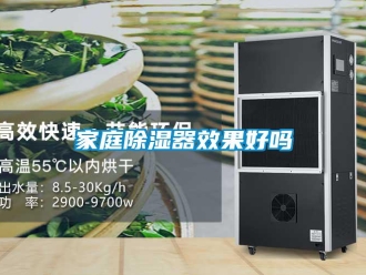 行業新聞家庭除濕器效果好嗎