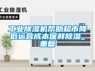 常見問題工業除濕機幫助超市降低運營成本保鮮除濕_重復
