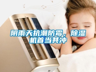 知識百科陰雨天抗潮防霉，除濕機首當其沖