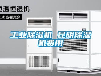 常見問題工業除濕機 昆明除濕機費用