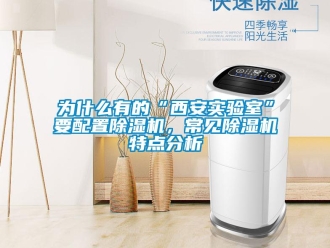 行業(yè)新聞為什么有的“西安實驗室”要配置除濕機，常見除濕機特點分析
