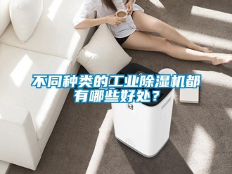 常見問題不同種類的工業除濕機都有哪些好處？