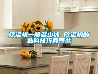 行業新聞除濕機一般多少錢 除濕機的選購技巧有哪些