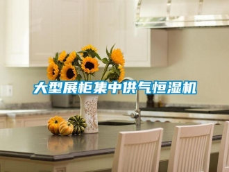 知識百科大型展柜集中供氣恒濕機