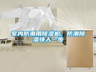 知識百科室內防潮用除濕機，防潮除濕快人一步