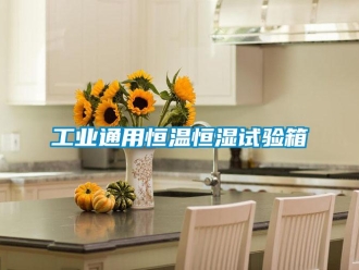 知識百科工業通用恒溫恒濕試驗箱