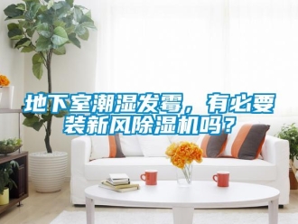 常見(jiàn)問(wèn)題地下室潮濕發(fā)霉，有必要裝新風(fēng)除濕機(jī)嗎？