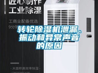 常見問題轉(zhuǎn)輪除濕機(jī)泄漏、振動和異常聲音的原因