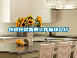 知識百科恒濕恒濕機的工作原理介紹
