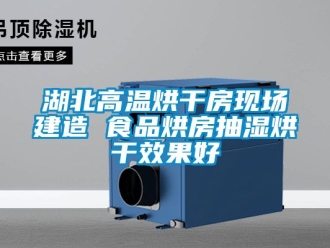 企業(yè)新聞湖北高溫烘干房現(xiàn)場(chǎng)建造 食品烘房抽濕烘干效果好