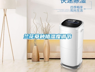 行業新聞蘭花草種植濕度調節