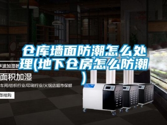 企業(yè)新聞倉庫墻面防潮怎么處理(地下倉房怎么防潮)