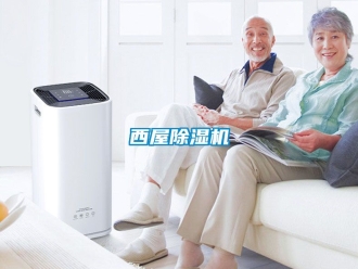 行業(yè)新聞西屋除濕機