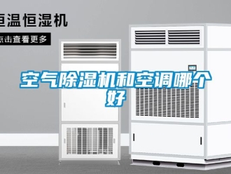 行業(yè)新聞空氣除濕機和空調(diào)哪個好