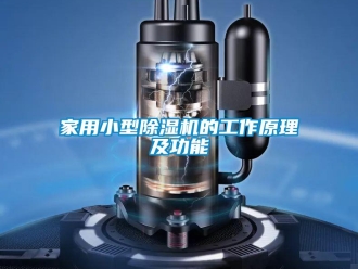 常見(jiàn)問(wèn)題家用小型除濕機(jī)的工作原理及功能