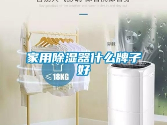 行業新聞家用除濕器什么牌子好
