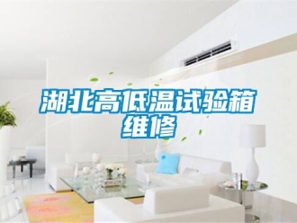 常見問題湖北高低溫試驗箱維修