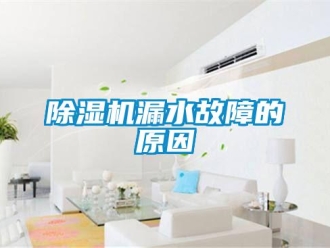 常見問題除濕機漏水故障的原因
