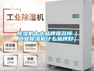 常見問題除濕機(jī)十大品牌排名榜（工業(yè)除濕機(jī)什么品牌好）