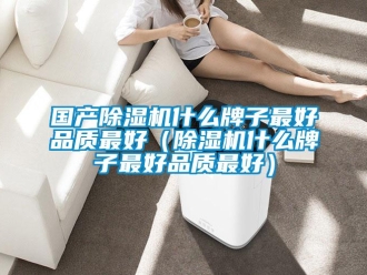 行業新聞國產除濕機什么牌子最好品質最好（除濕機什么牌子最好品質最好）