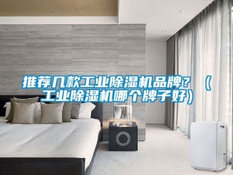 常見問題推薦幾款工業(yè)除濕機(jī)品牌？（工業(yè)除濕機(jī)哪個(gè)牌子好）