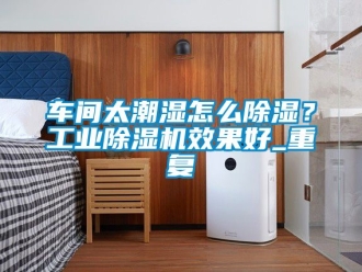 常見問題車間太潮濕怎么除濕？工業除濕機效果好_重復