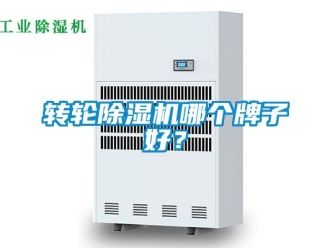 常見問題轉輪除濕機哪個牌子好？