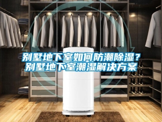 企業(yè)新聞別墅地下室如何防潮除濕？別墅地下室潮濕解決方案