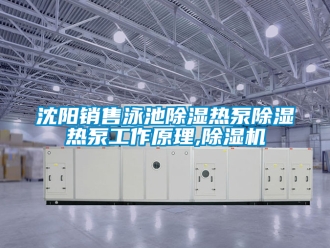 行業(yè)新聞沈陽(yáng)銷售泳池除濕熱泵除濕熱泵工作原理,除濕機(jī)