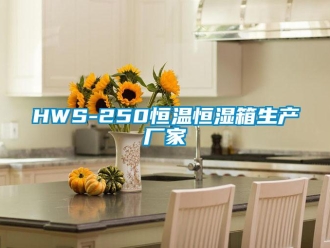 常見問題HWS-250恒溫恒濕箱生產(chǎn)廠家