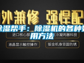 企業(yè)新聞除濕幫手：除濕機(jī)的各種妙用方法
