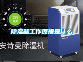 行業(yè)新聞除濕器工作原理是什么