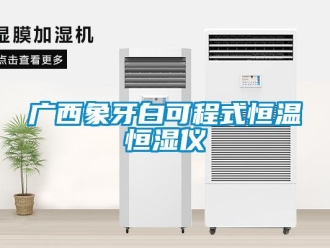 知識百科廣西象牙白可程式恒溫恒濕儀