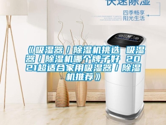 常見(jiàn)問(wèn)題《吸濕器／除濕機(jī)挑選 吸濕器／除濕機(jī)哪個(gè)牌子好 2021超適合家用吸濕器／除濕機(jī)推薦》