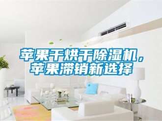 行業新聞蘋果干烘干除濕機，蘋果滯銷新選擇