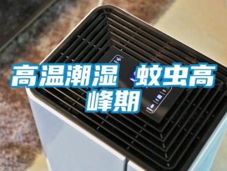 企業新聞高溫潮濕 蚊蟲高峰期