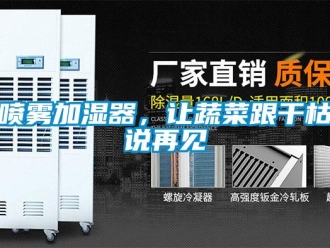 行業新聞噴霧加濕器，讓蔬菜跟干枯說再見