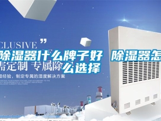 行業(yè)新聞除濕器什么牌子好 除濕器怎么選擇