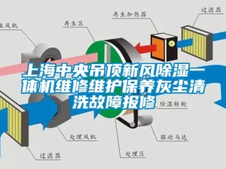 常見問題上海中央吊頂新風(fēng)除濕一體機(jī)維修維護(hù)保養(yǎng)灰塵清洗故障報修