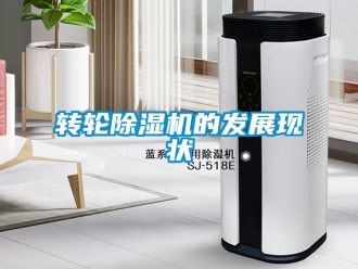 常見問題轉輪除濕機的發(fā)展現(xiàn)狀