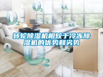 常見問題轉(zhuǎn)輪除濕機(jī)相較于冷凍除濕機(jī)的優(yōu)勢和劣勢
