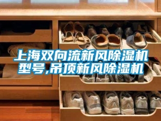 常見問題上海雙向流新風(fēng)除濕機(jī)型號,吊頂新風(fēng)除濕機(jī)