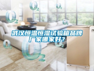 知識百科武漢恒溫恒濕試驗箱品牌廠家哪家好？