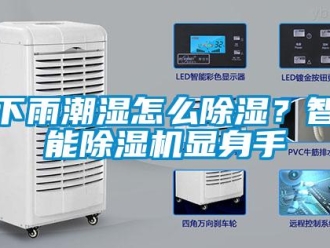 常見問題下雨潮濕怎么除濕？智能除濕機顯身手