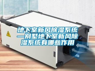 行業新聞地下室新風除濕系統—別墅地下室新風除濕系統有哪些作用